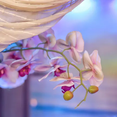 Dream & Relax Fiore Panzió Bari