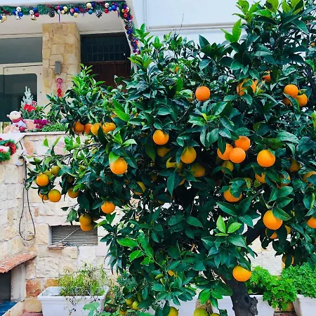 Dream & Relax Fiore Nocleg ze śniadaniem