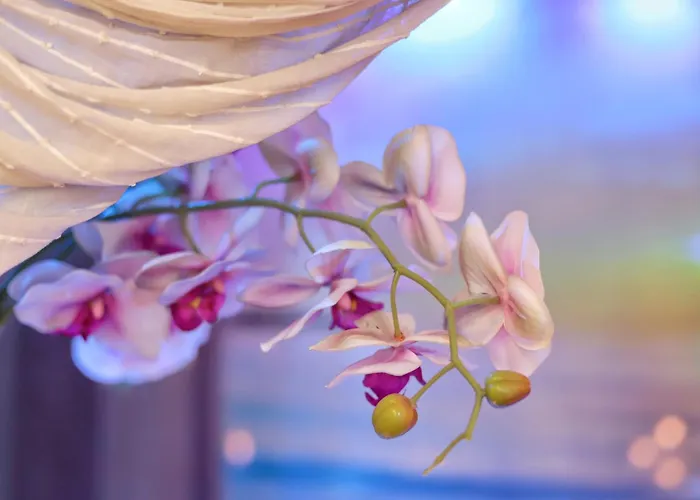 Dream & Relax Fiore Bed and Breakfast Μπάρι