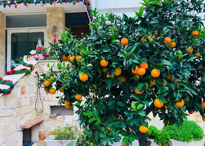 Dream & Relax Fiore Nocleg ze śniadaniem